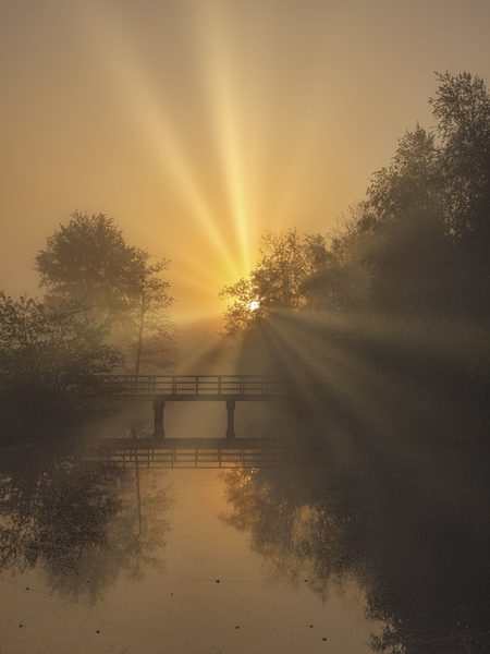 Landschap 12