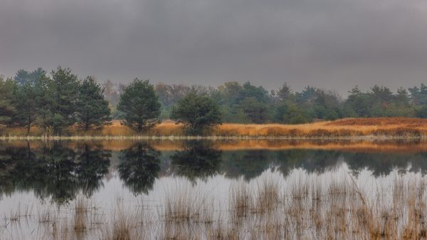 Landschap 18