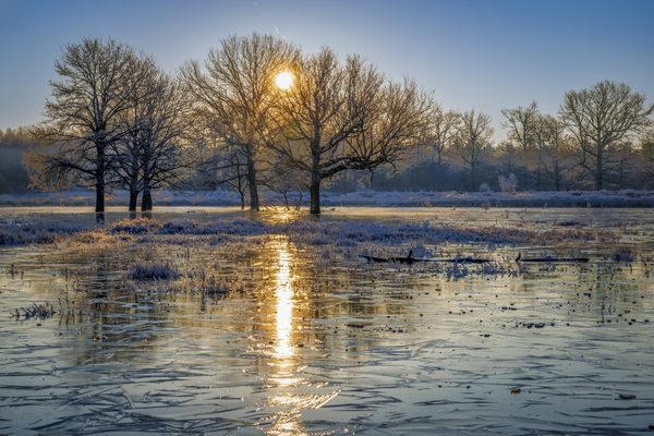 Landschap 22