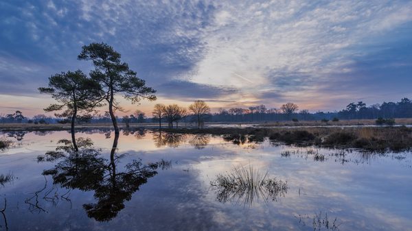Landschap 24