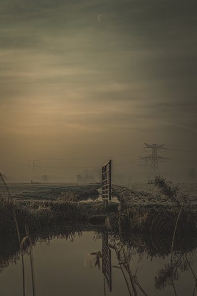 Landschap 29