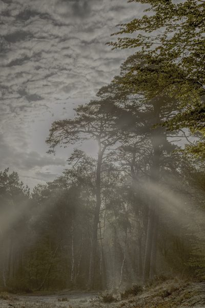 Landschap 33