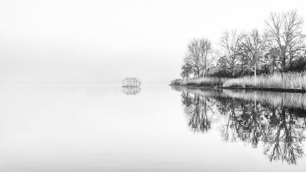 Landschap 35