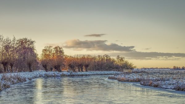 Landschap 37