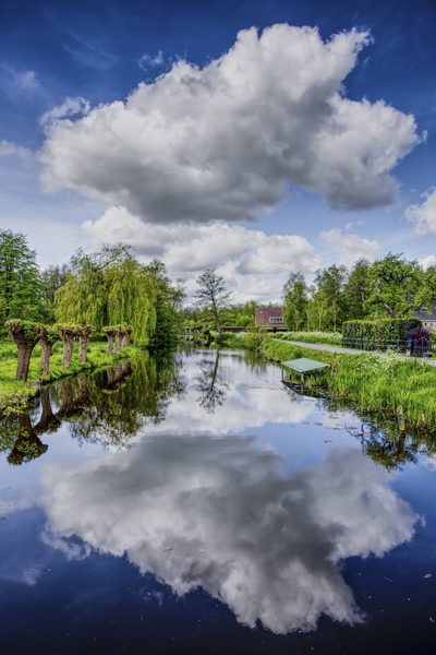 Landschap 39
