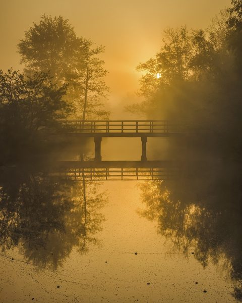 Landschap 41