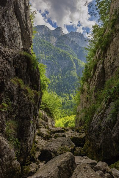Landschap 47