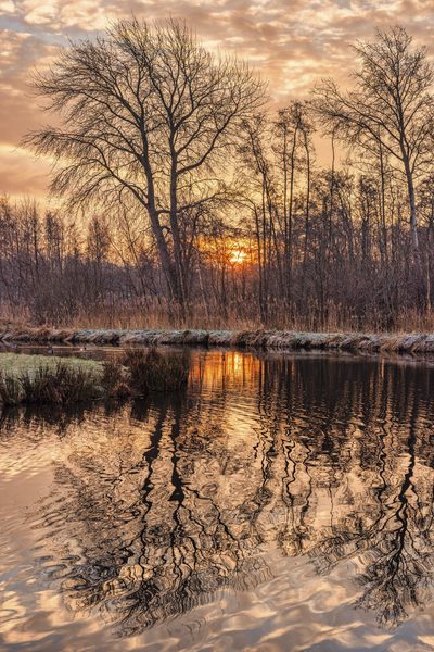 Landschap 65