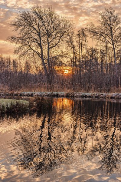 Landschap 69
