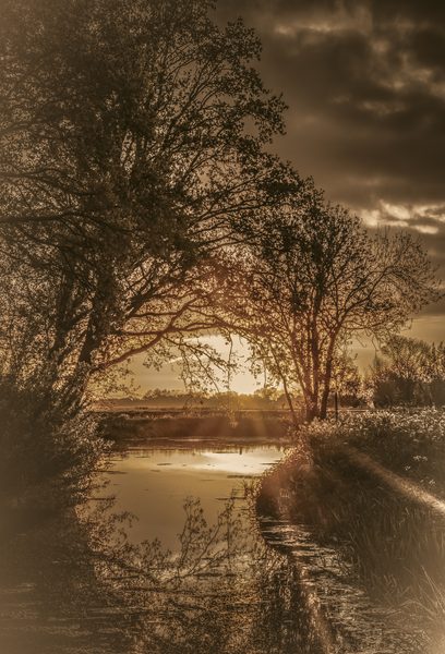 Landschap 71