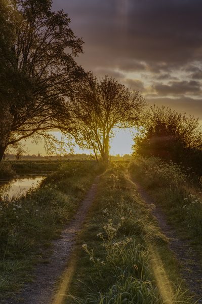 Landschap 72