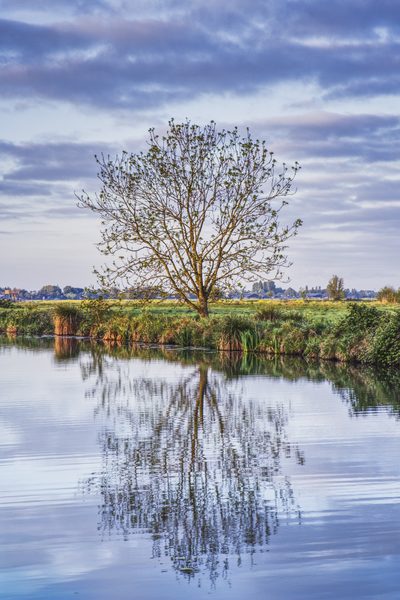 Landschap 73